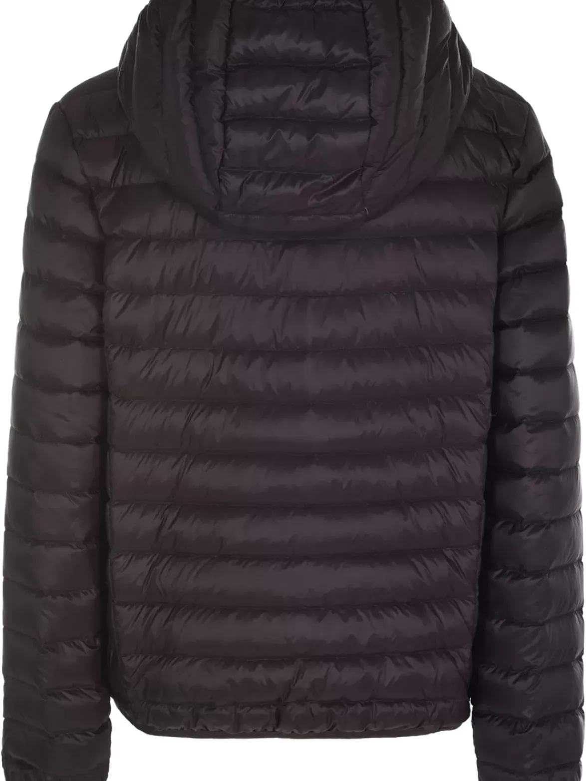 Dove Lightweight Down Jacket