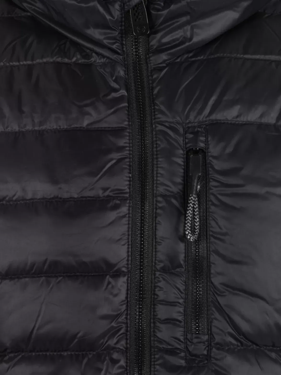 Polar Down Jacket