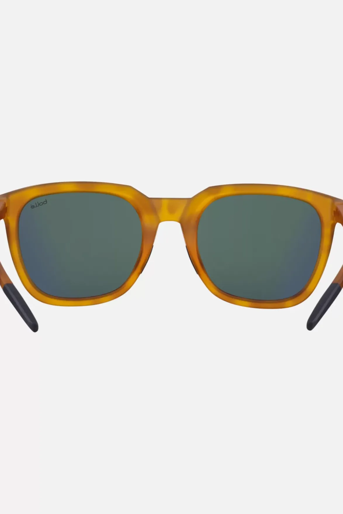 Bolle Talent Sunglasses